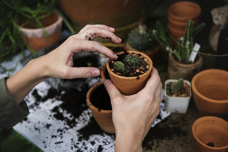 Collaborative Gardening